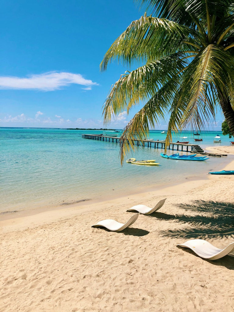 Unveiling the Fascinating Process of Harvesting Tahitian Pearls in French Polynesia