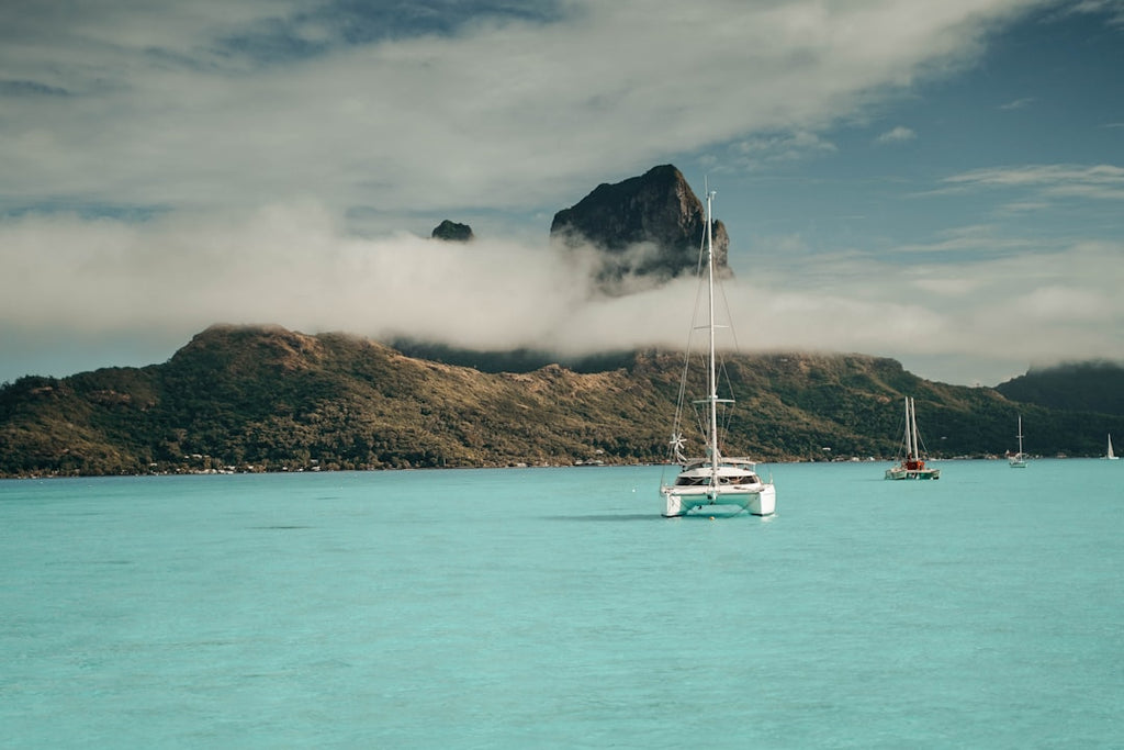 Tahitian Pearls: Unveiling Their Beauty in Art and Literature