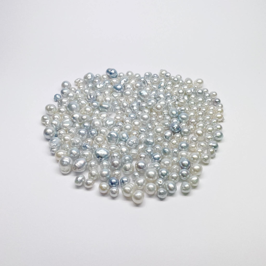 THE SOUTH SEA PEARL | The South Sea Pearl