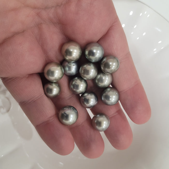 Tahiti Pearls Loose 11-12 mm Semi-Round Silver Green Color High Luster