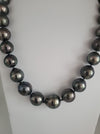 Tahiti Pearls 12-14 mm Dark Color amd High Luster |  The South Sea Pearl |  The South Sea Pearl