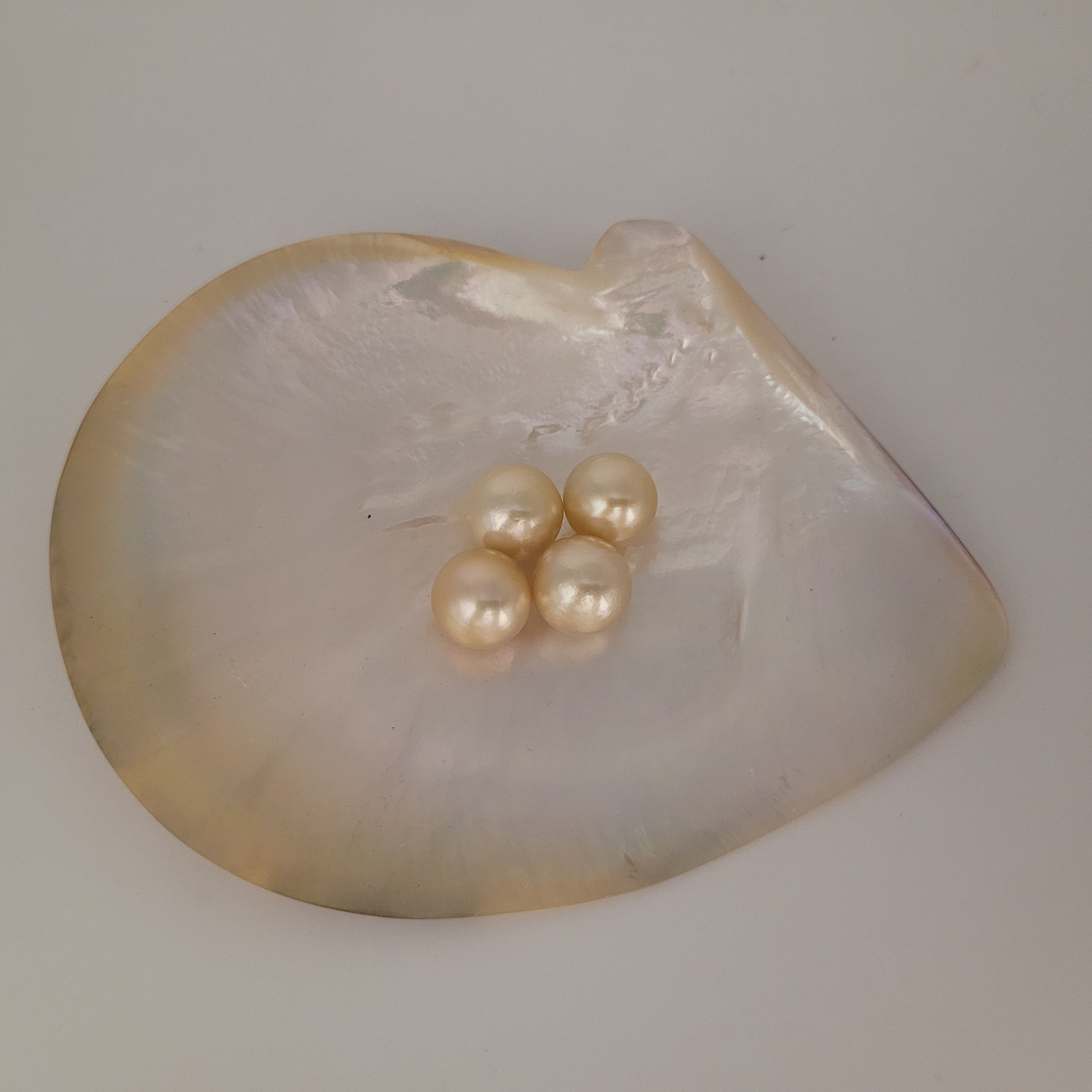 Golden South Sea Pearls 13 mm Round AAA Quality