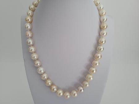 South Sea Pearls 9-11 mm Natural Colors - Only at  The South Sea Pearl